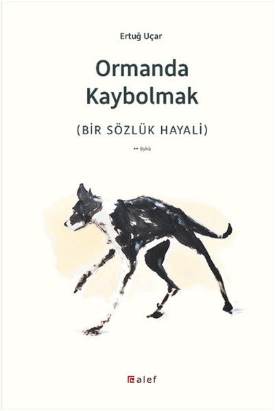 Ormanda Kaybolmak-zoom-