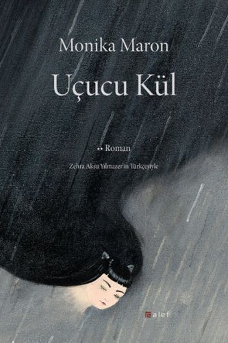 Uçucu Kül-zoom-