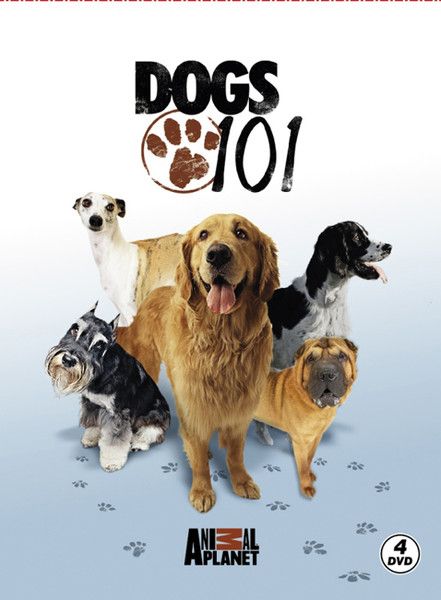 Dogs 101 - Köpekler-zoom-