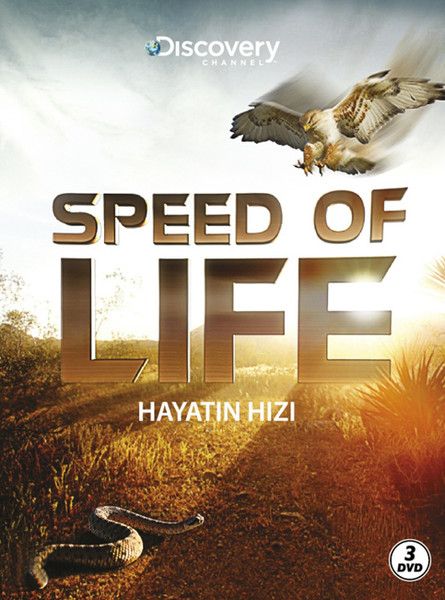 Speed Of Life - Hayatın Hızı-zoom-